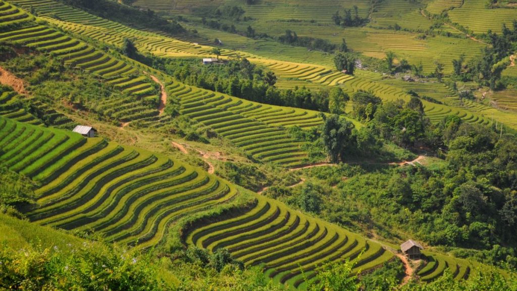 Northern Vietnam Adventure: From Majestic Mountains to Ethnic Cultures