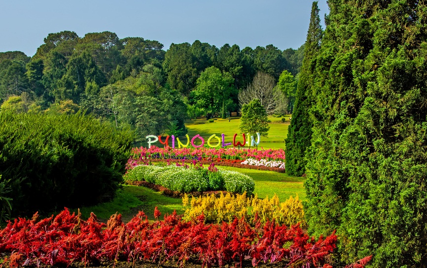 Encuentro Cercano con la Naturaleza en Pyin Oo Lwin: El Refugio de las Tierras Altas de Myanmar