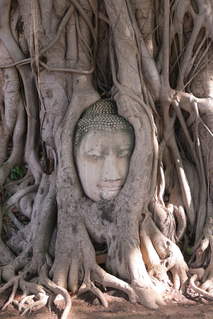 “Explore Ayutthaya: Royal Palaces, Sacred Temples, and Bustling Markets”